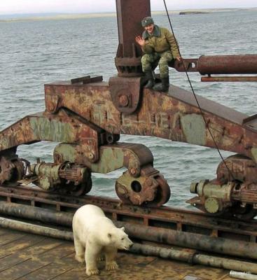 Прикрепленное изображение: bear.jpg